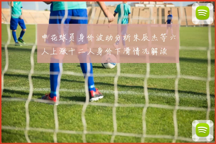 申花球员身价波动分析朱辰杰等六人上涨十二人身价下滑情况解读
